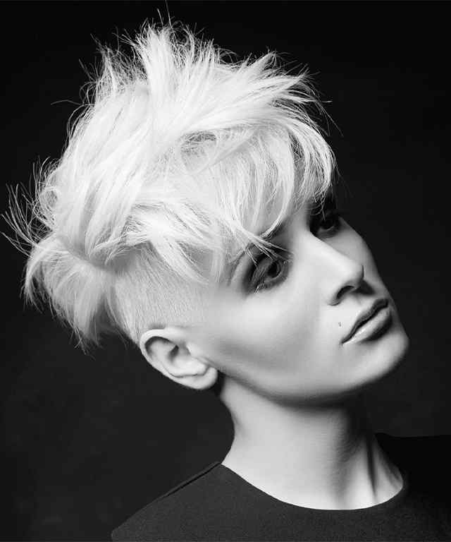 about_image_02_new https://stylzsalondetroit.com/wp-content/uploads/2022/07/about_image_02_new.jpg